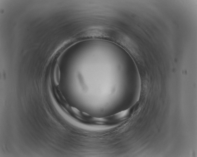 X0000081460160200701121306