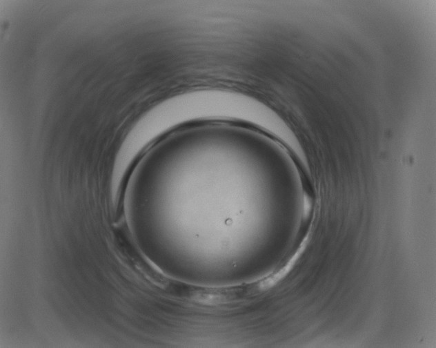 X0000081460174200701121306