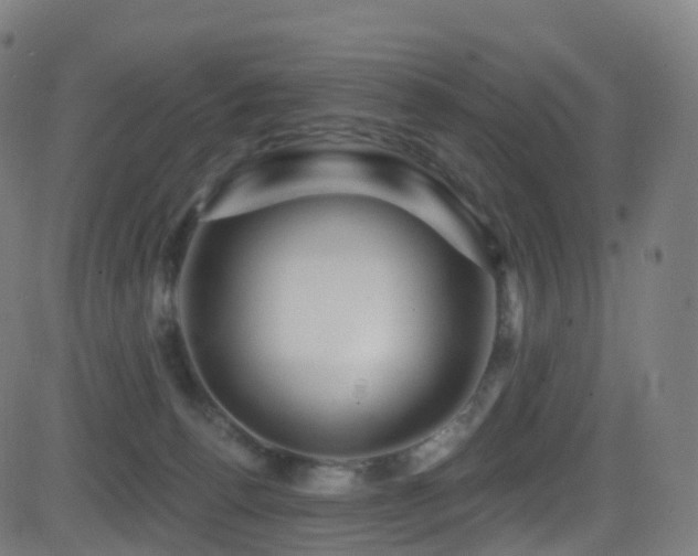 X0000081460176200701121307
