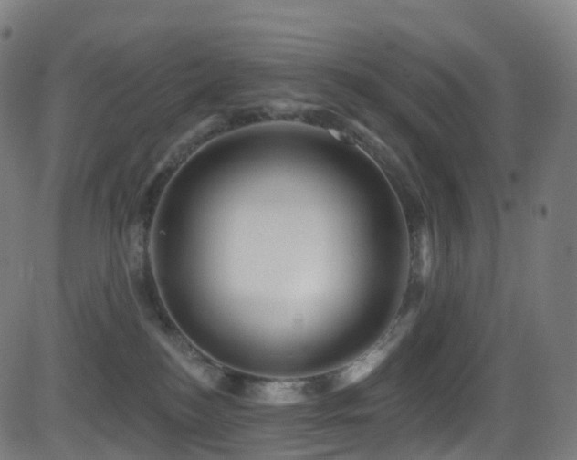 X0000081460184200701121307