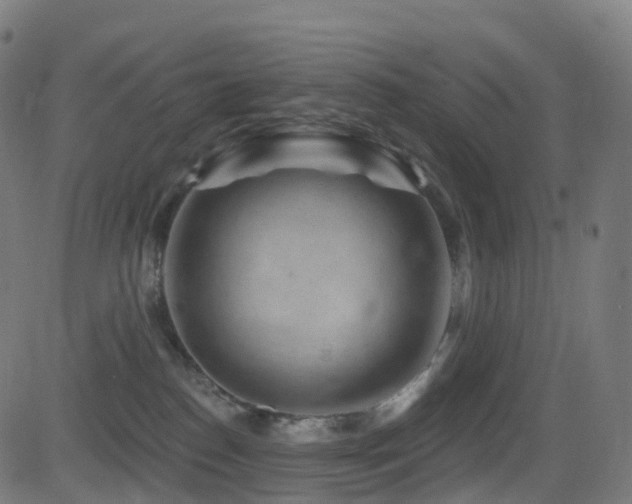 X0000081460186200701121307