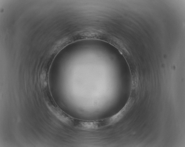 X0000081460187200701121307