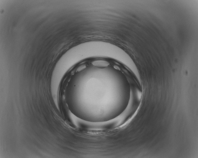 X0000081460190200701121307