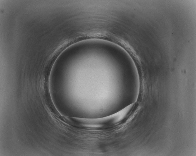 X0000081460201200701121306