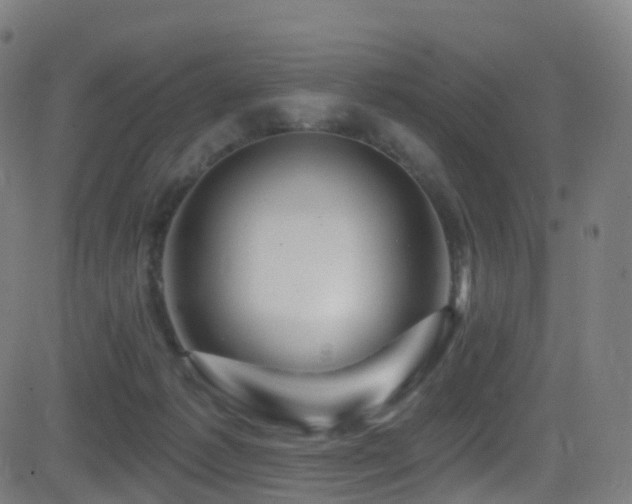 X0000081460221200701121306