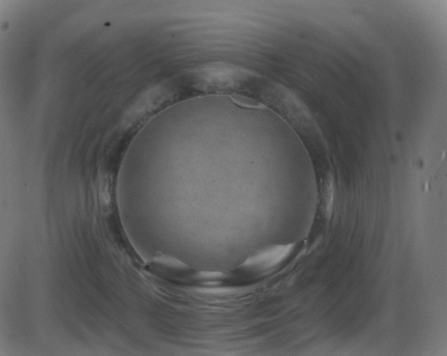 X0000081460232200701121305