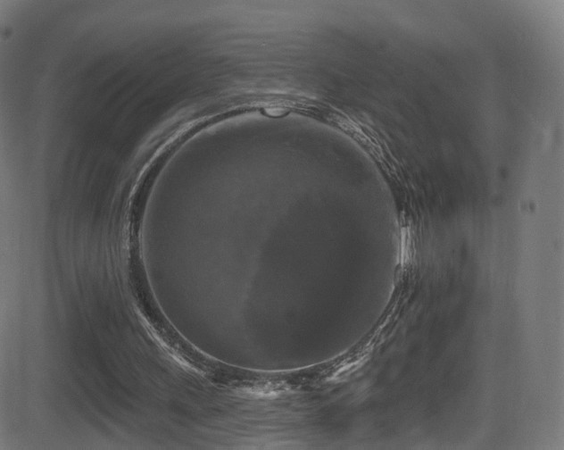 X0000081460243200701121304