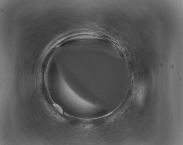 X0000081460247200701121304