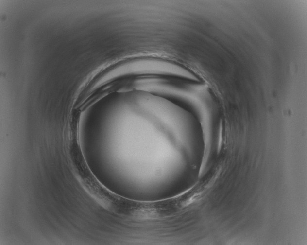 X0000081460252200701121305