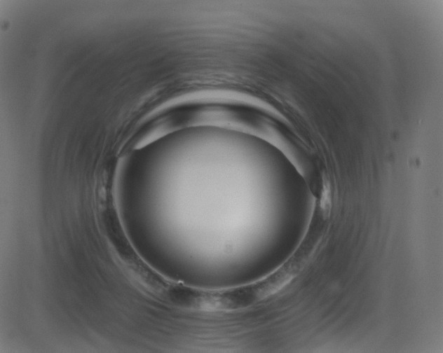 X0000081460264200701121305