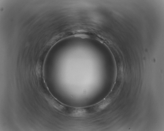 X0000081460274200701121305
