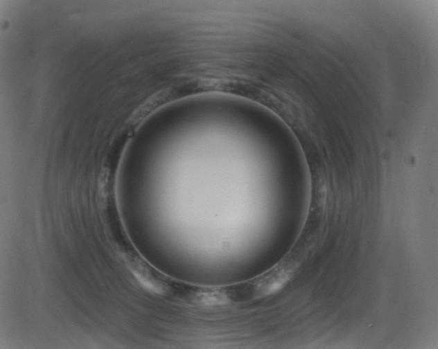 X0000081460275200701121305