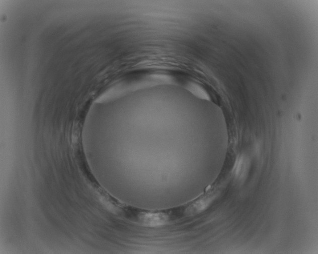X0000081460277200701121305