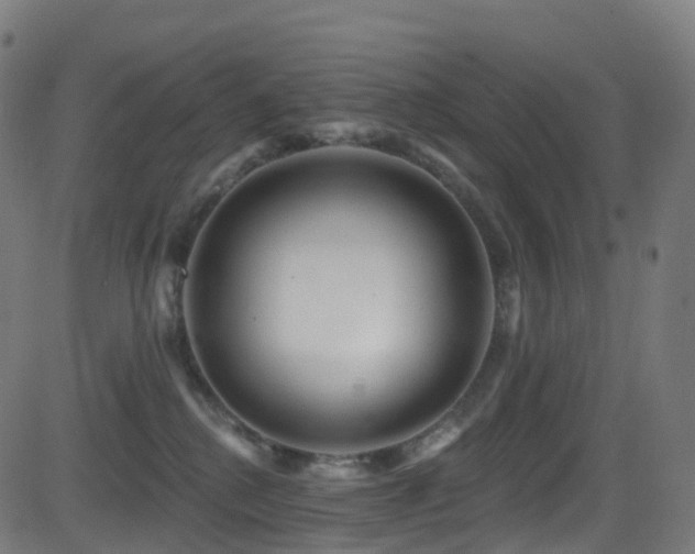 X0000081460280200701121305