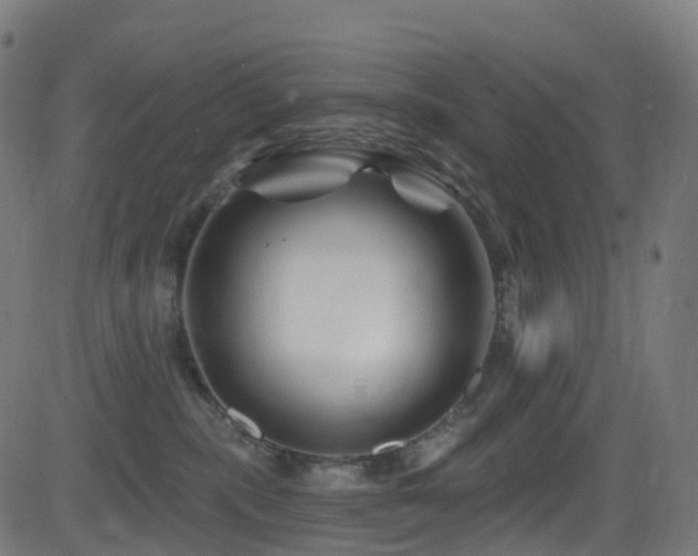 X0000081460283200701121305