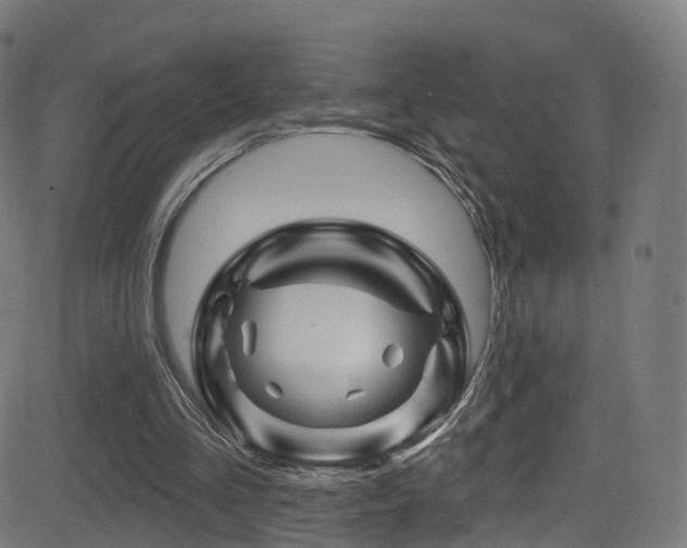 X0000081460293200701121304