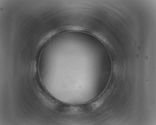 X0000081460302200701121304