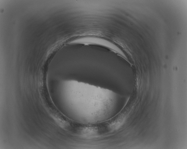 X0000081460303200701121304