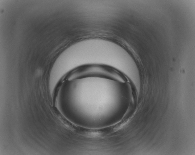 X0000081460313200701121304