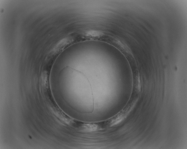 X0000081460328200701121304