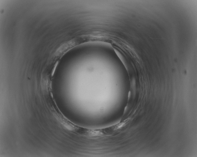 X0000081460333200701121304