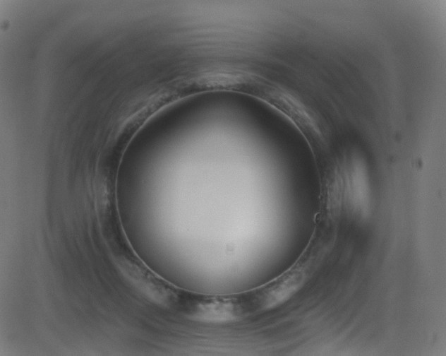 X0000081460362200701121303