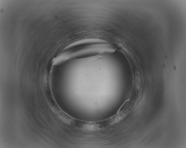 X0000081460375200701121303
