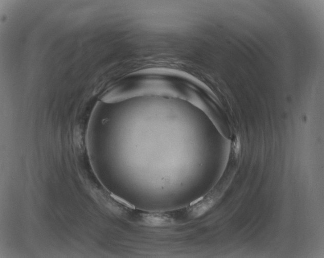X0000081460380200701121304