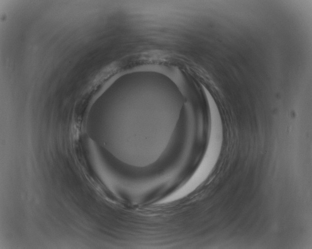 X0000081460382200701121304