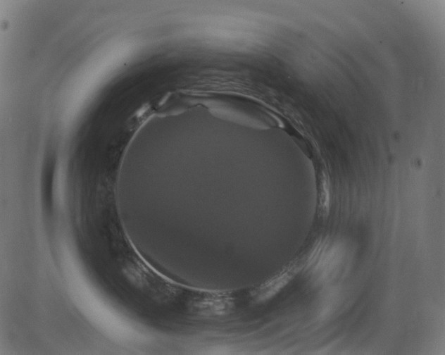 X0000081460383200701121304