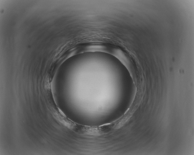 X0000081460384200701121304
