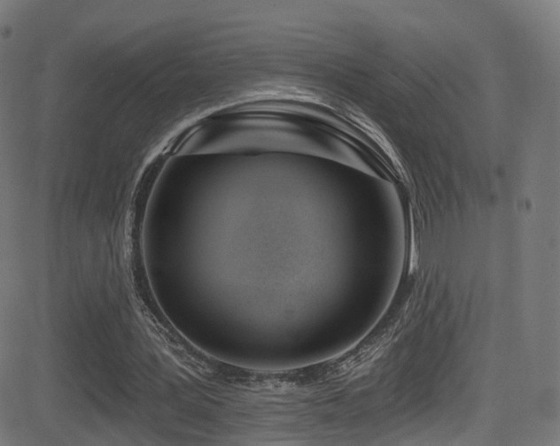 X0000081460387200701121303