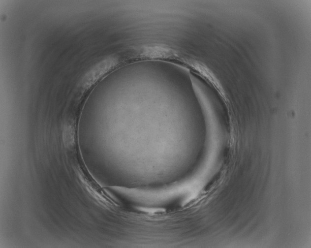 X0000081460393200701121303