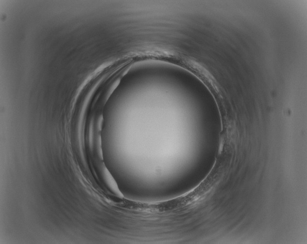 X0000081460395200701121303