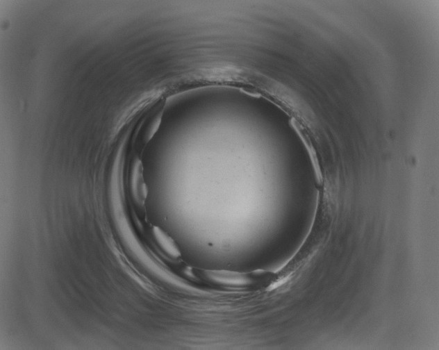 X0000081460397200701121303