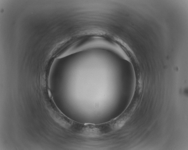 X0000081460403200701121302