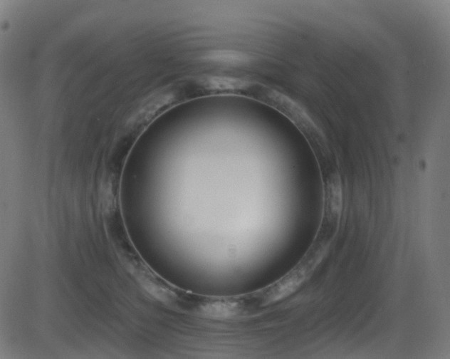 X0000081460422200701121302