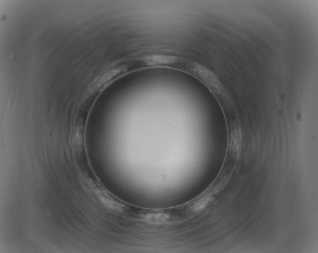 X0000081460426200701121302