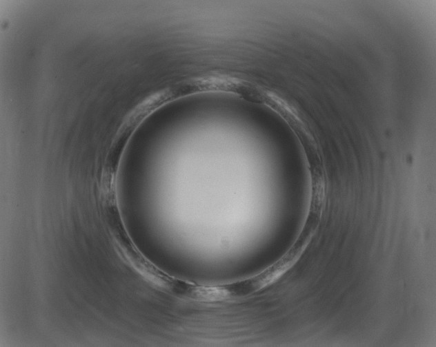 X0000081460429200701121302
