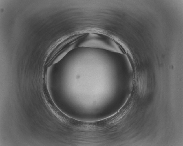 X0000081460437200701121301