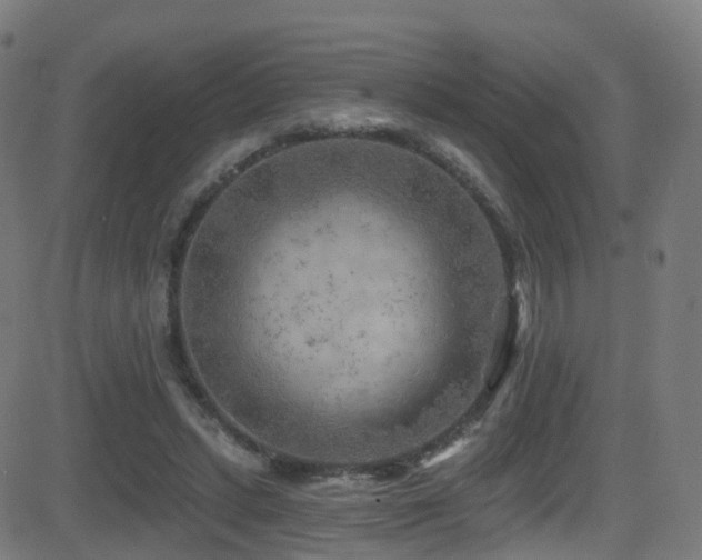 X0000081460447200701121301
