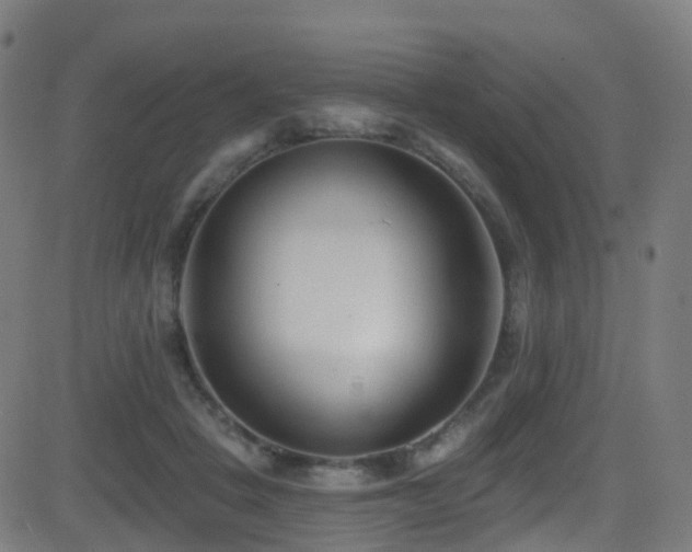 X0000081460457200701121302