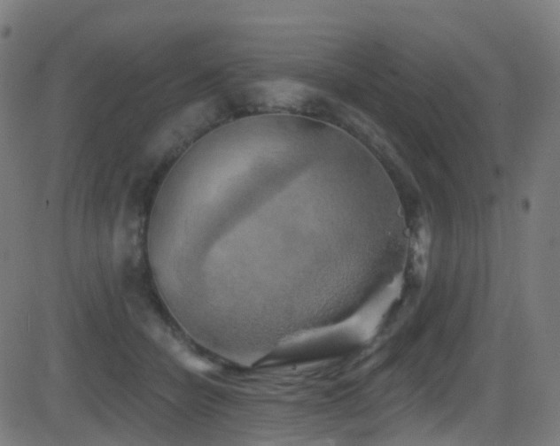 X0000081460462200701121302
