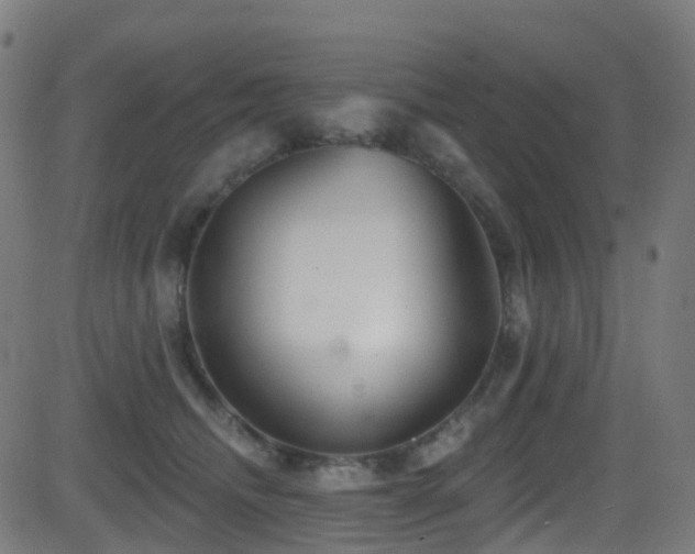 X0000081460468200701121302