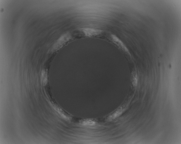 X0000081460471200701121302