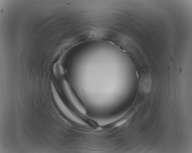 X0000081460474200701121302