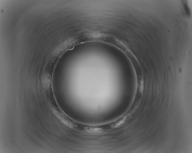 X0000081460476200701121302