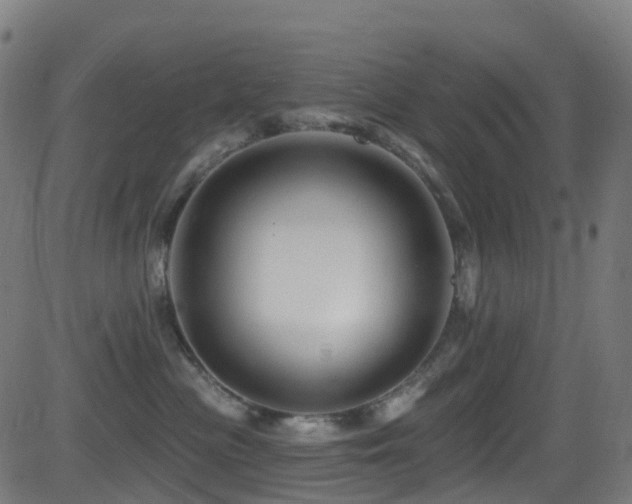 X0000081460477200701121302