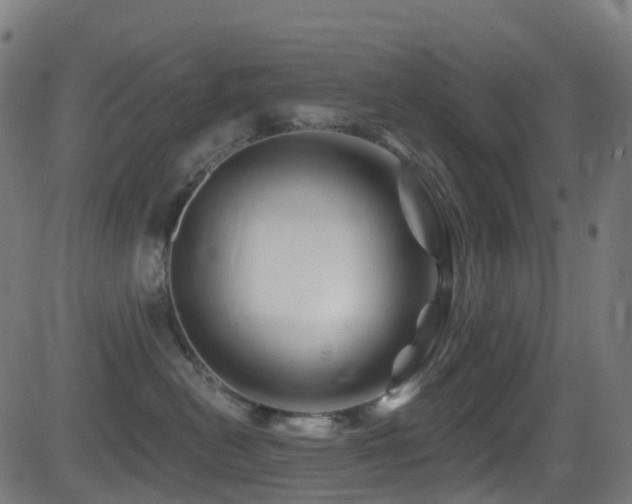 X0000081460478200701121302