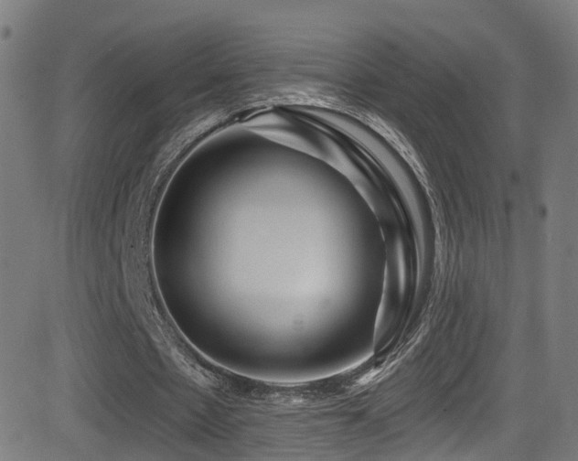 X0000081460481200701121301